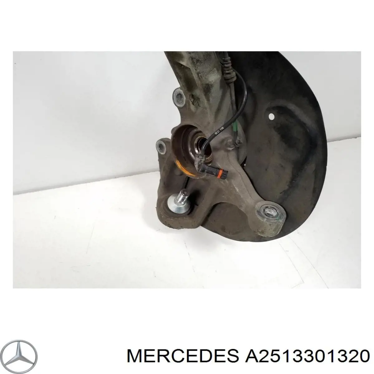 A2513301320 Mercedes Цапфа поворотного кулака
