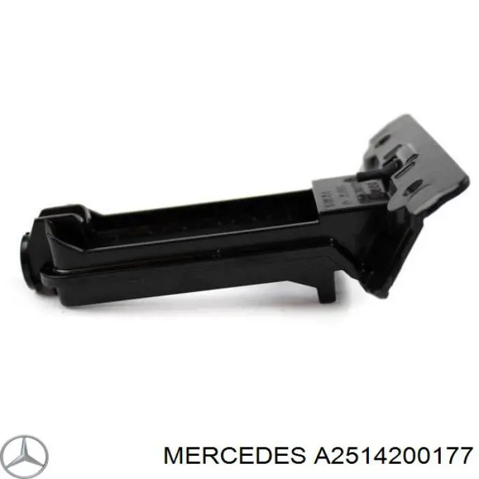 A251420007728 Mercedes