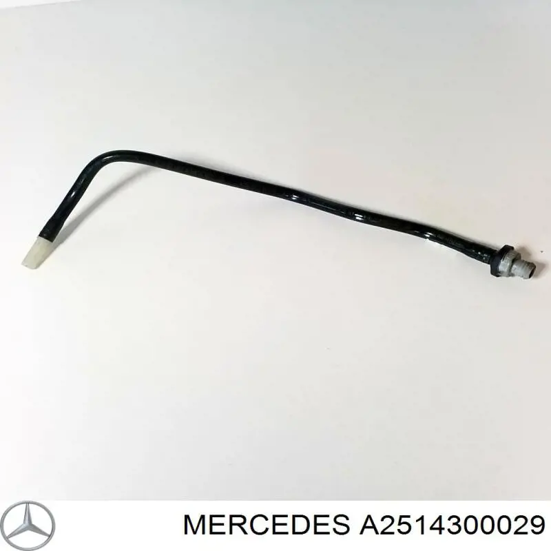 A2514300029 Mercedes 