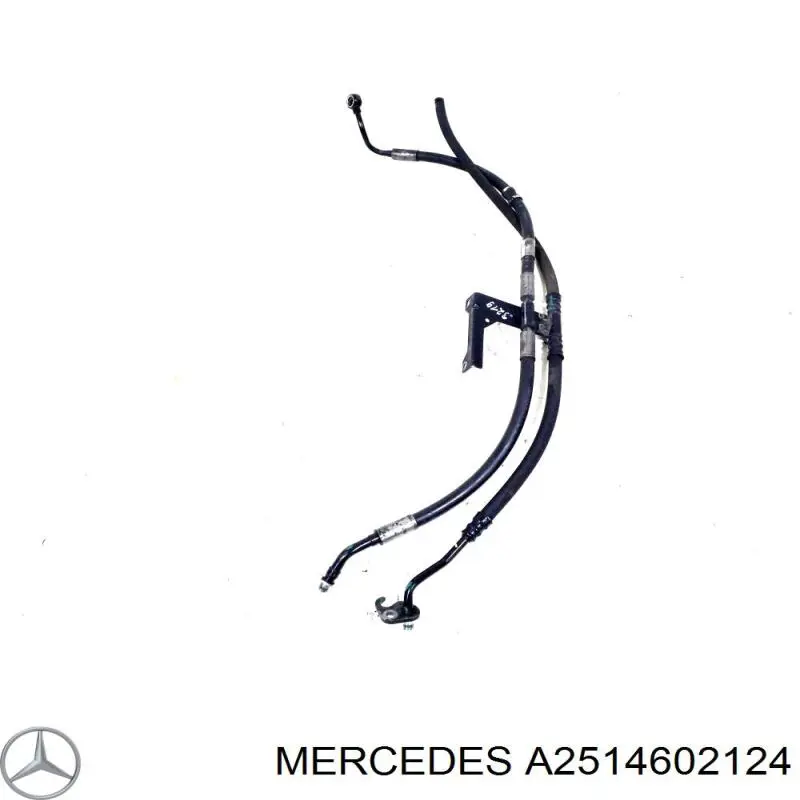 A2514602124 Mercedes 