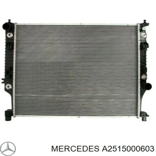 Купити A2515000603 Mercedes Радіатор двигуна
