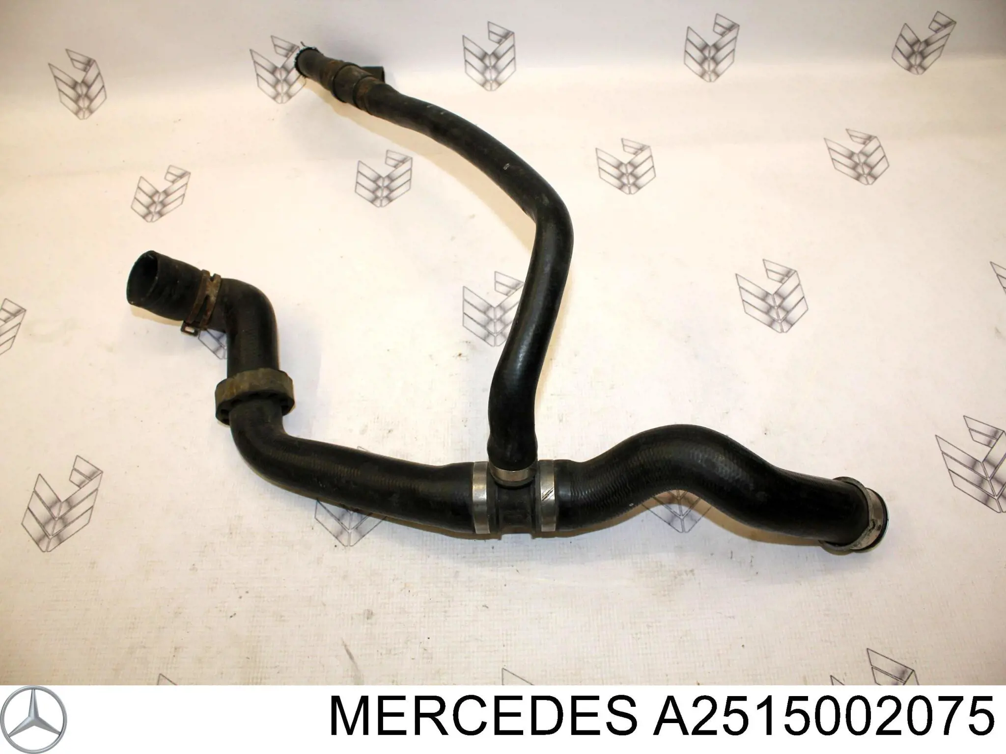 A2515002075 Mercedes 