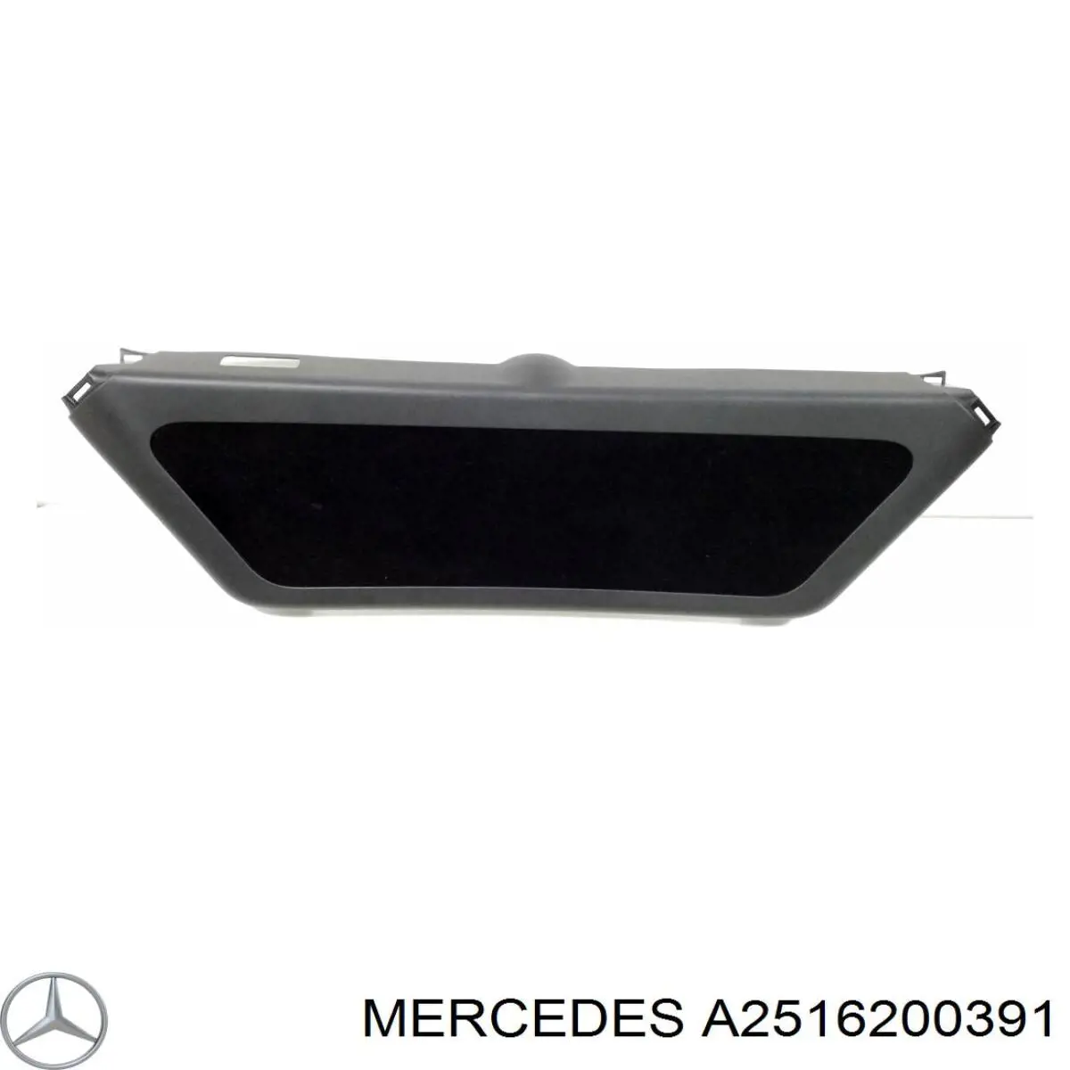 Купити A2516200391 Mercedes 