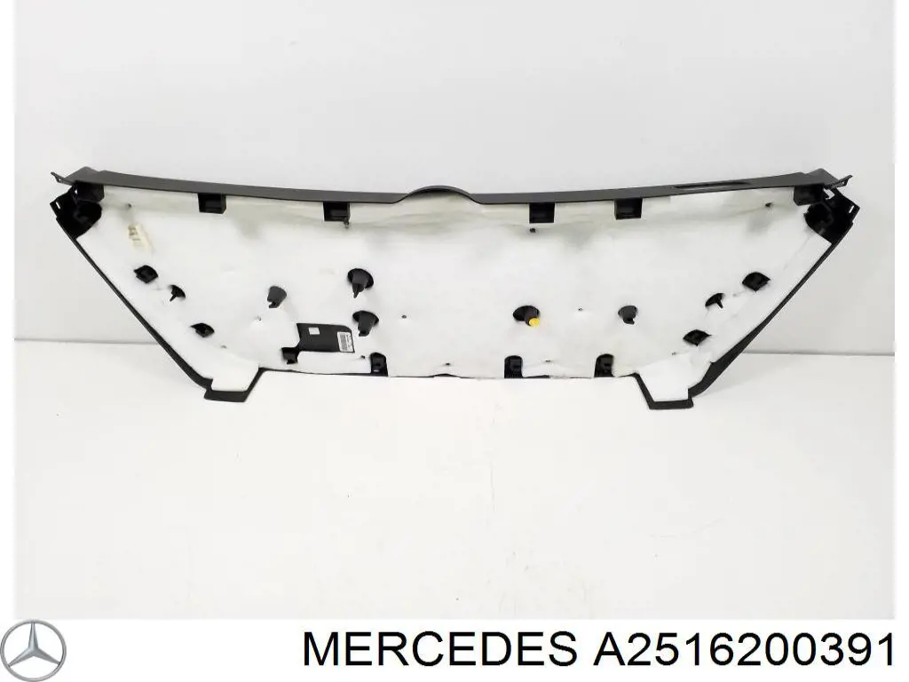 Mercedes A2516200391 ціна, від 73.95 USD