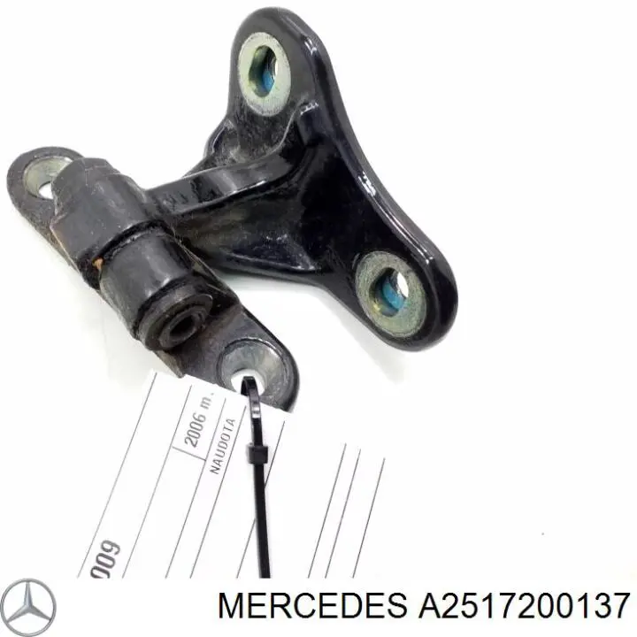 Петля передніх дверей, лівої A2517200137 Mercedes