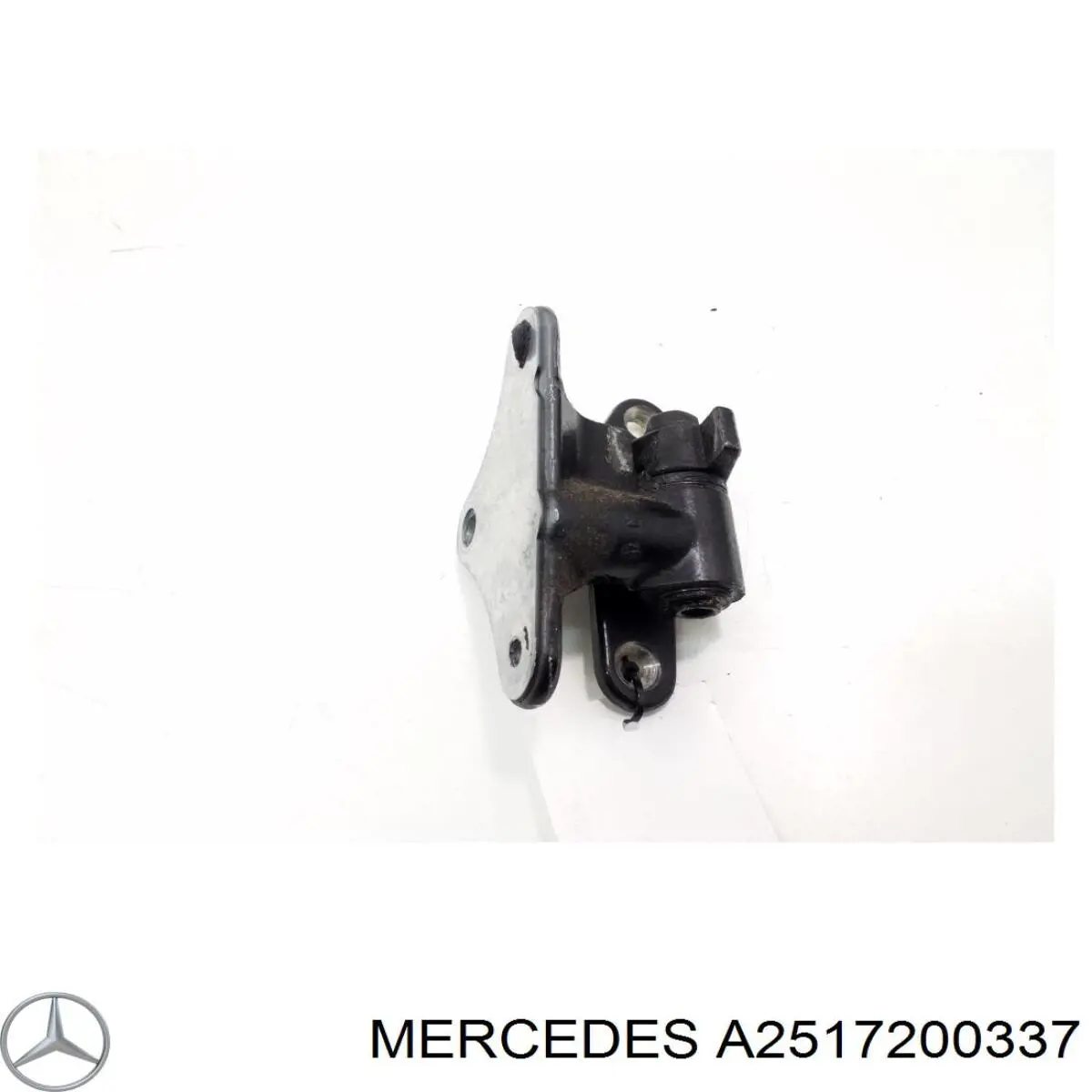 Завіса дверей передных лівих Mercedes A2517200337 ціна, від 10.12 USD