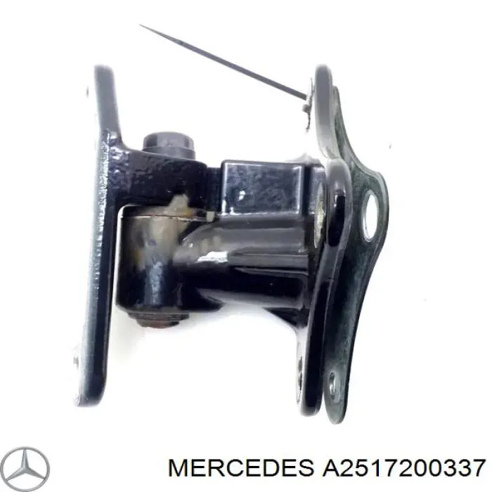 Купити A2517200337 Mercedes Петля водійських дверей