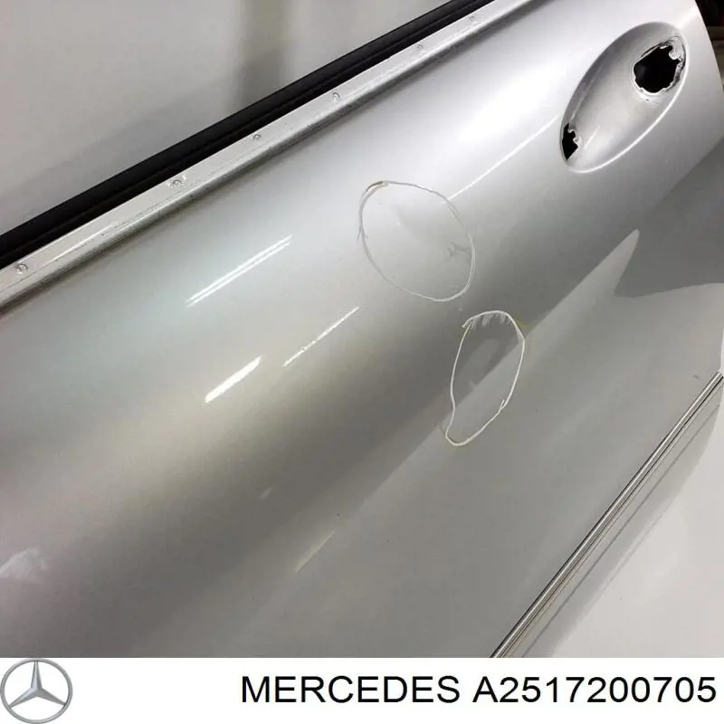 Двері передні ліві A2517200905 Mercedes