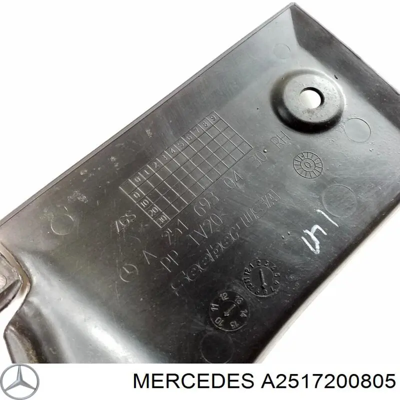 Пасажирські передні двері на Mercedes R  W251