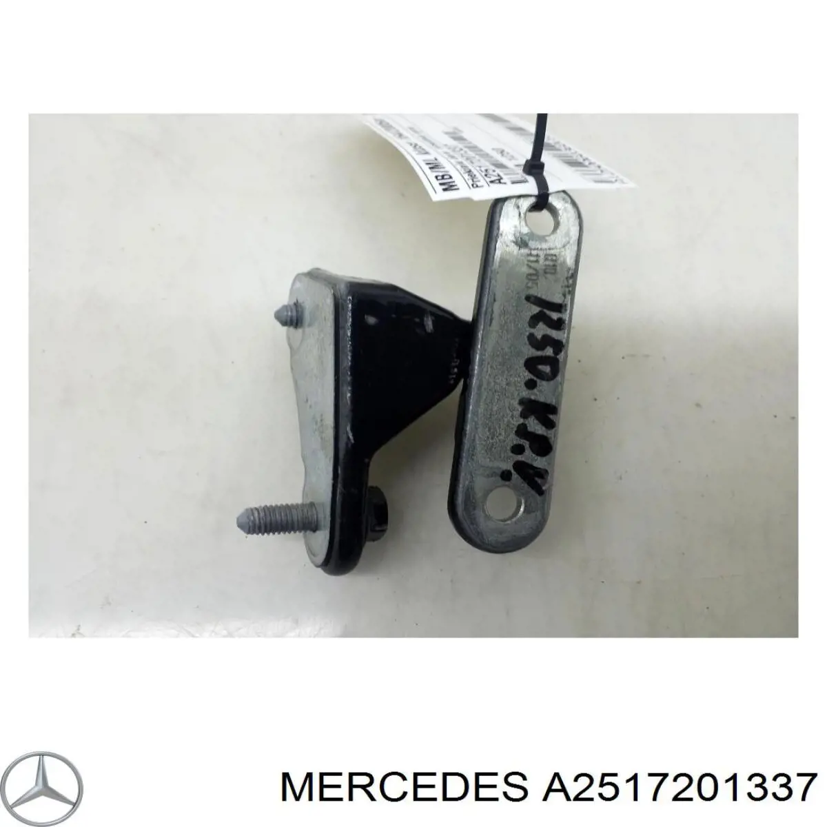 Купити A2517201337 Mercedes Петля водійських дверей
