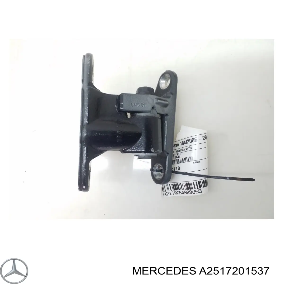 Купити A2517201537 Mercedes Петля водійських дверей