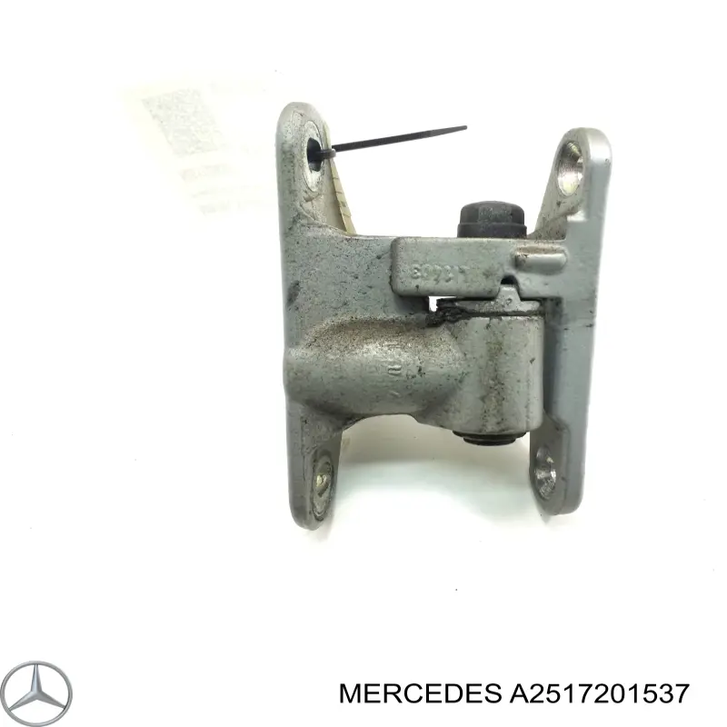 A2517201537 Mercedes Петля передніх дверей, лівою