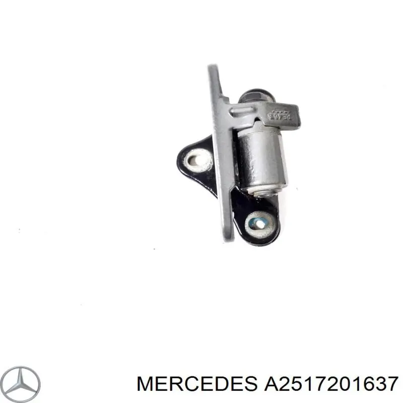 Петля передніх дверей, правої A2517201637 Mercedes