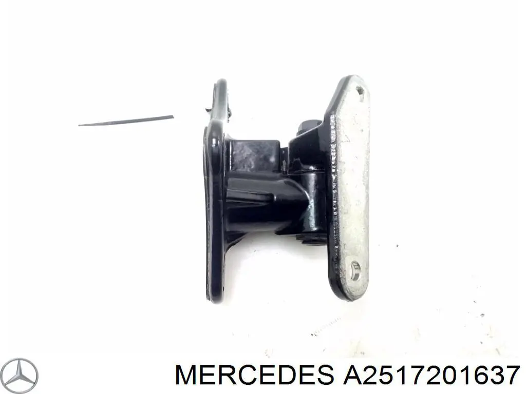 Купити A2517201637 Mercedes Петля передніх дверей, правих