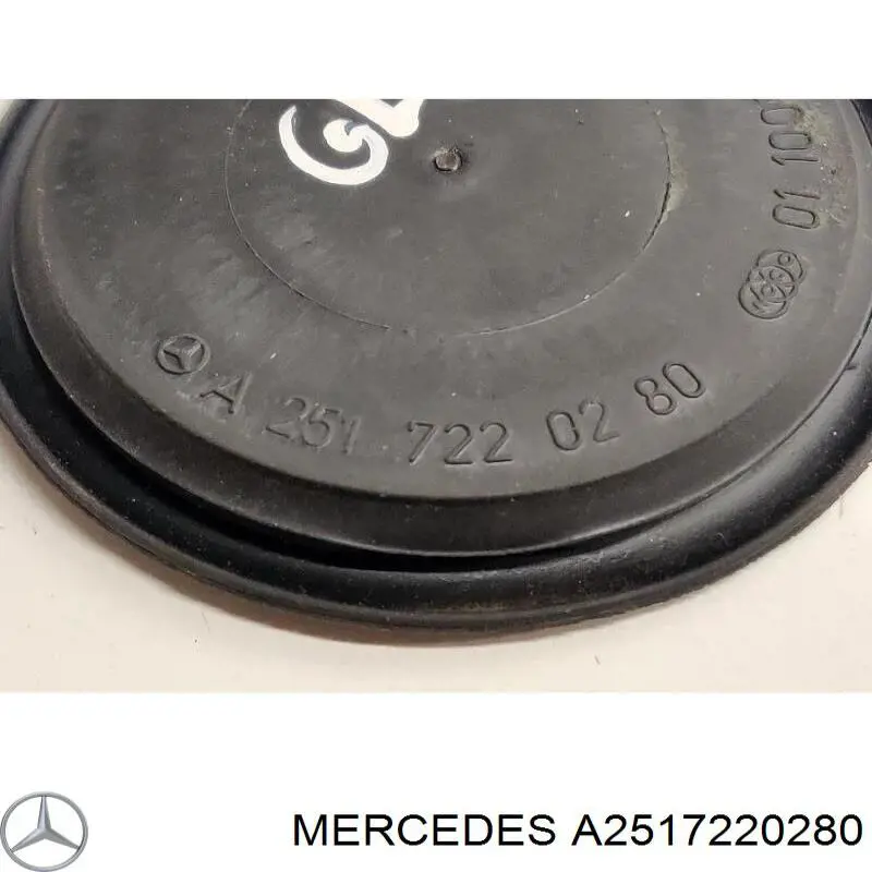  Mercedes A2517220280