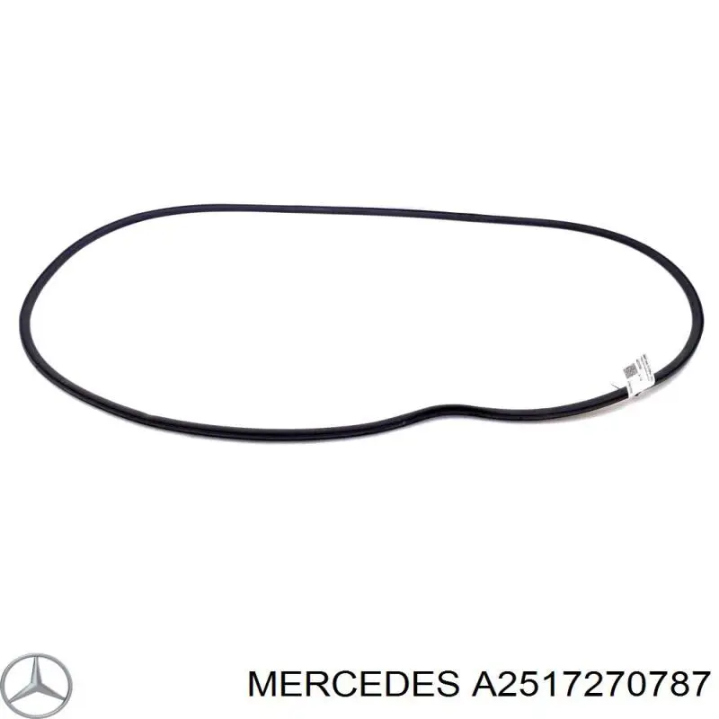  Mercedes A2517270787 ціна, від 33.86 USD