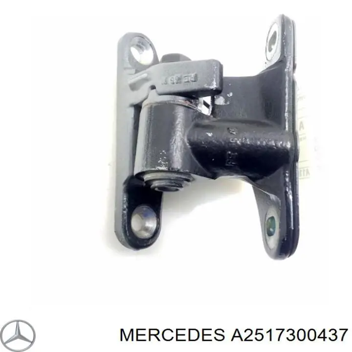 Петля заднтої двері, правої A2517300437 Mercedes