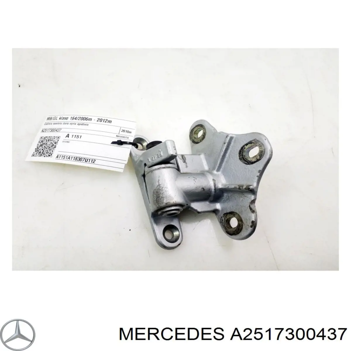 A2517300437 Mercedes Петля задніх дверей, правих