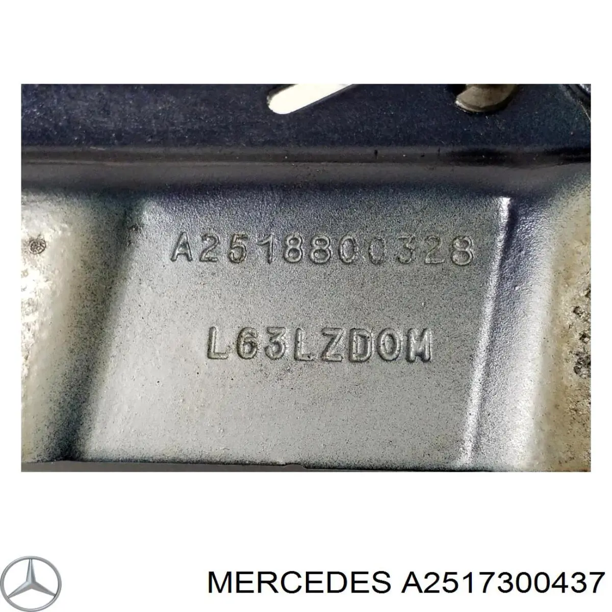 Дверний шарнір задній правий Mercedes A2517300437 ціна, від 10.28 USD