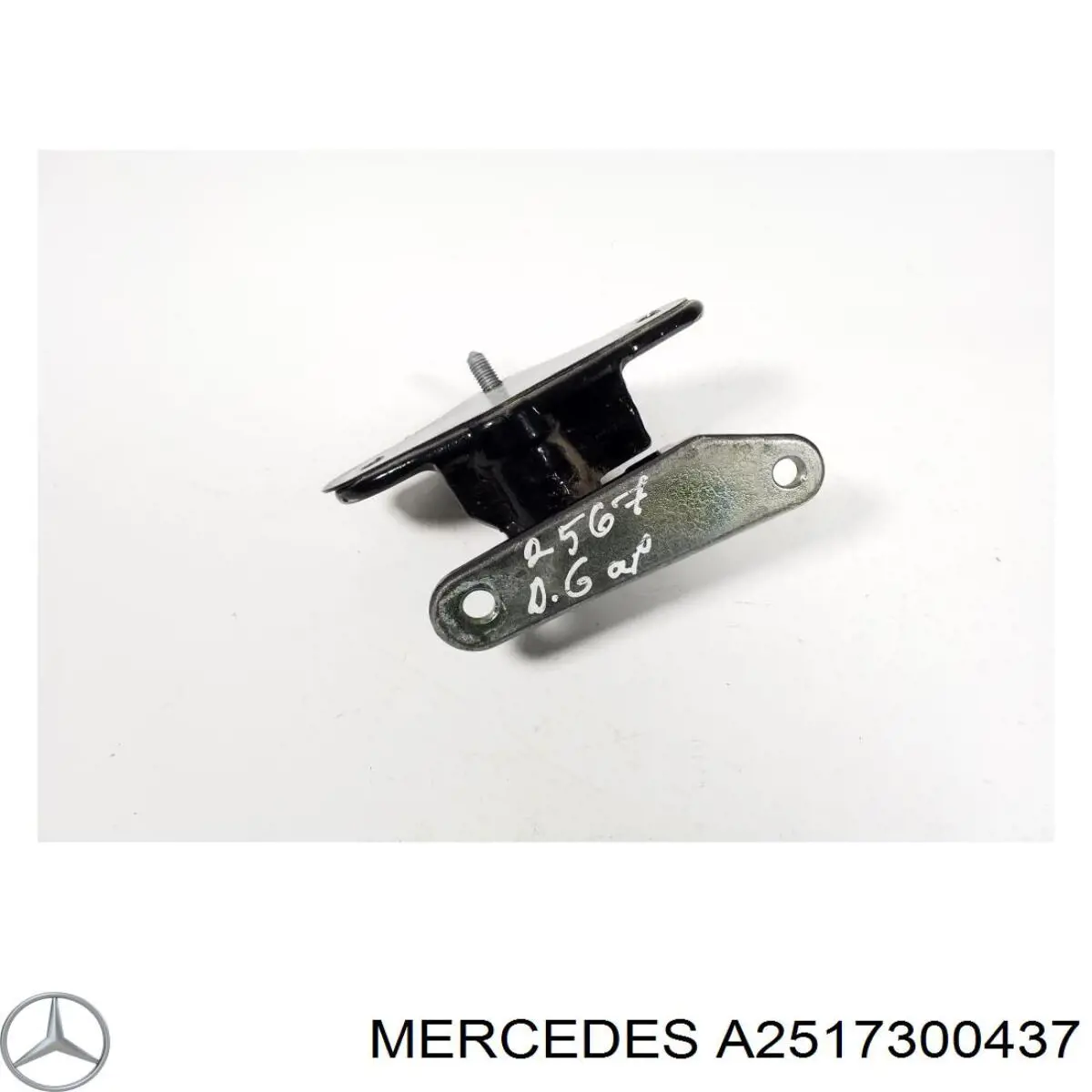 Купити A2517300437 Mercedes Петля заднтої двері, правої