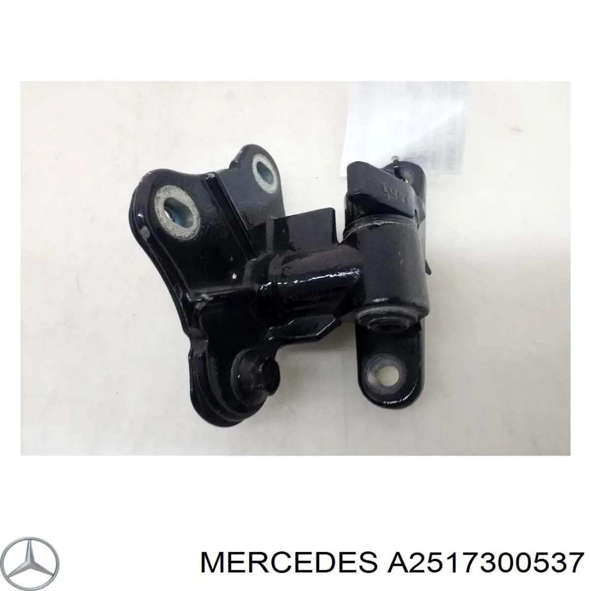 Петля заднтої двері, лівої A2517300537 Mercedes