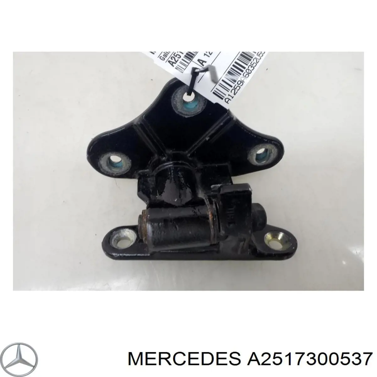 Петля задніх дверей, лівих Mercedes A2517300537