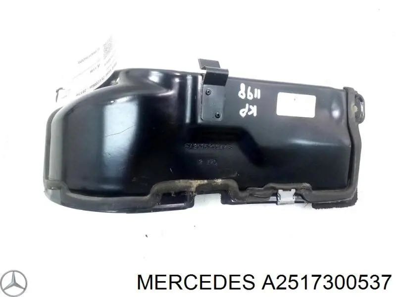 A2517300537 Mercedes Петля задніх лівих дверей