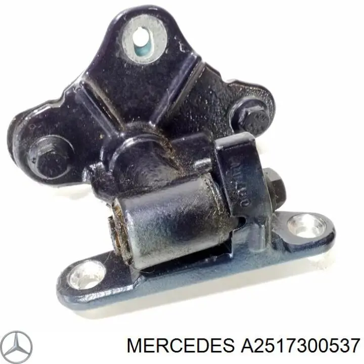 Купити A2517300537 Mercedes Завіса дверей задніх лівих