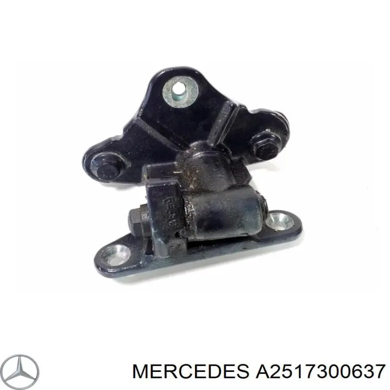 Петля заднтої двері, правої A2517300637 Mercedes