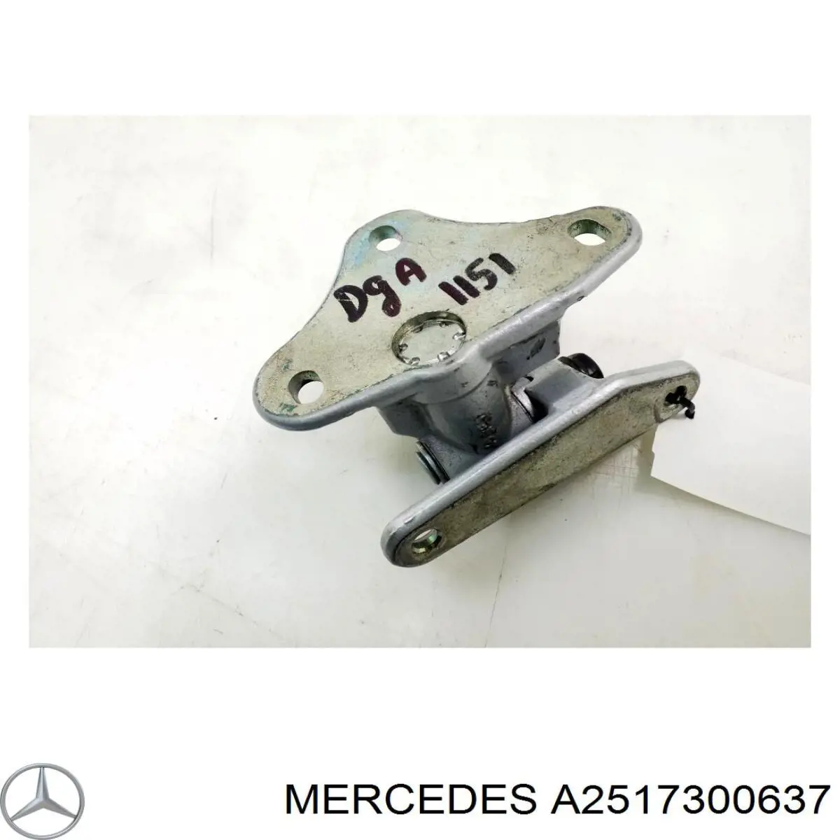 A2517300637 Mercedes Петля заднтої двері, правої