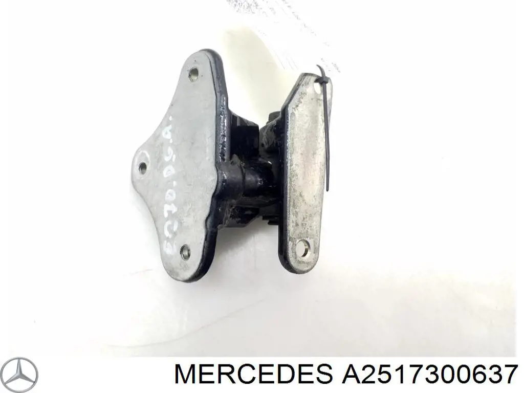 Купити A2517300637 Mercedes Дверний шарнір задній правий