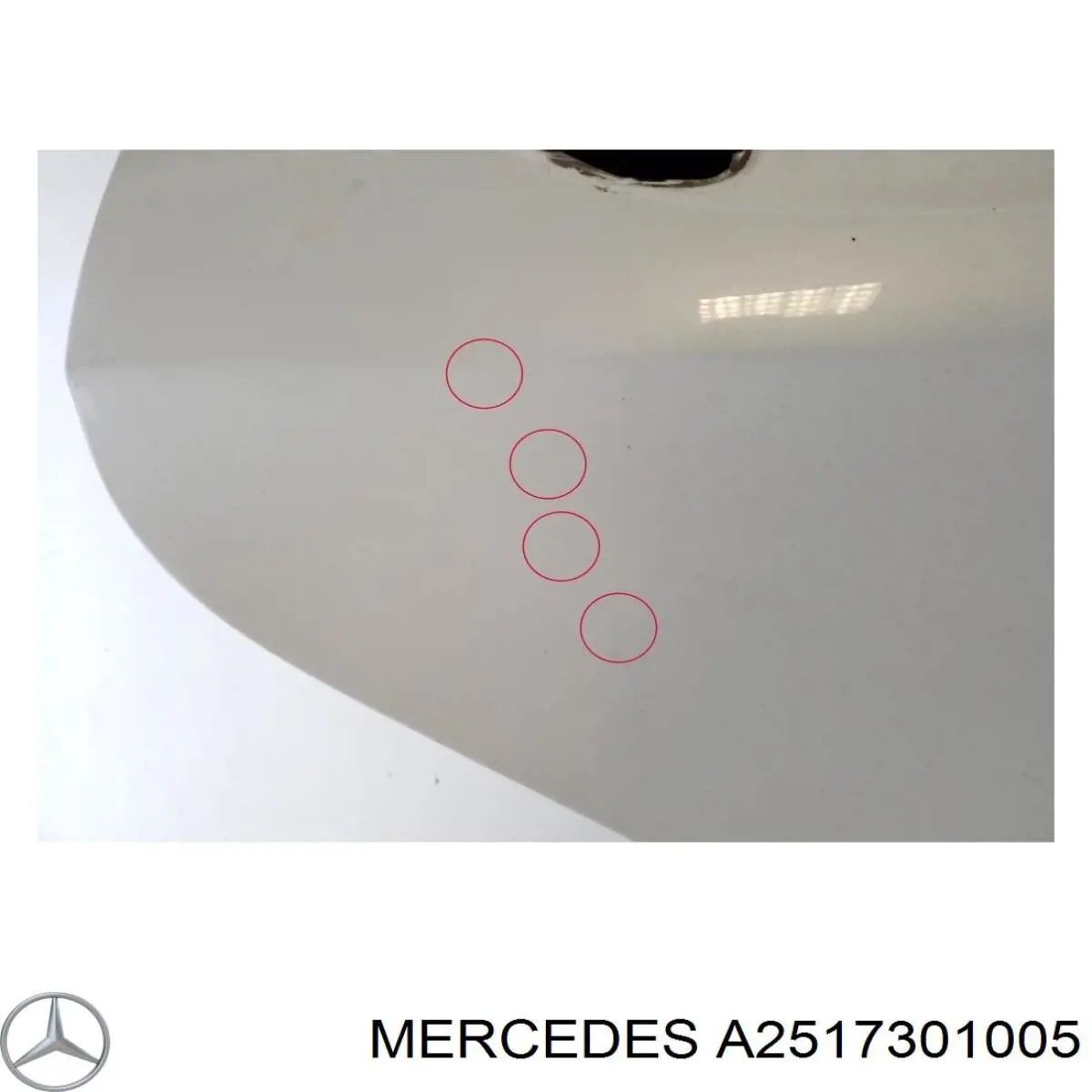 A2517301005 Mercedes Двері пасажирські задні праві