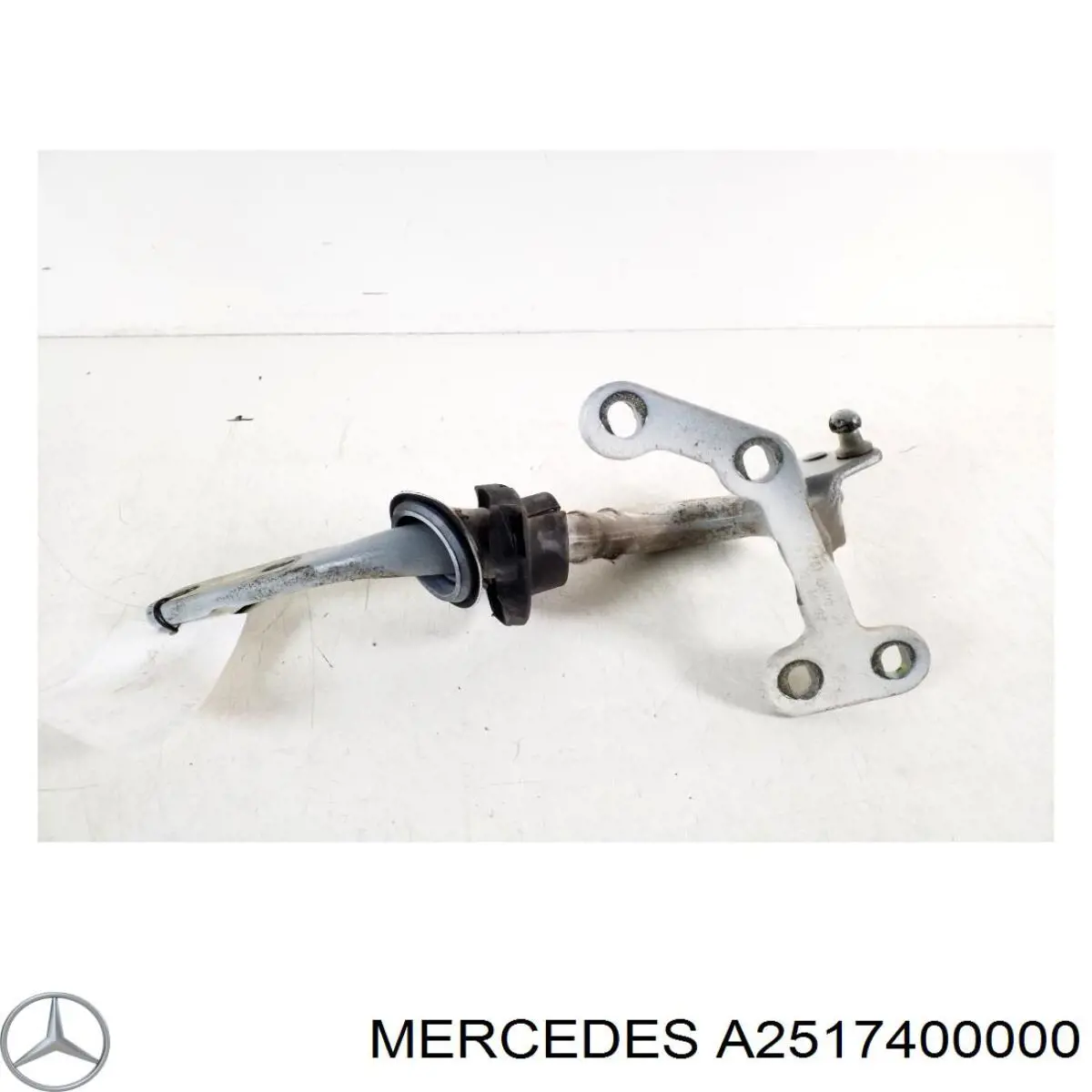 Купити A2517400000 Mercedes Петля третіх/п'ятих дверей