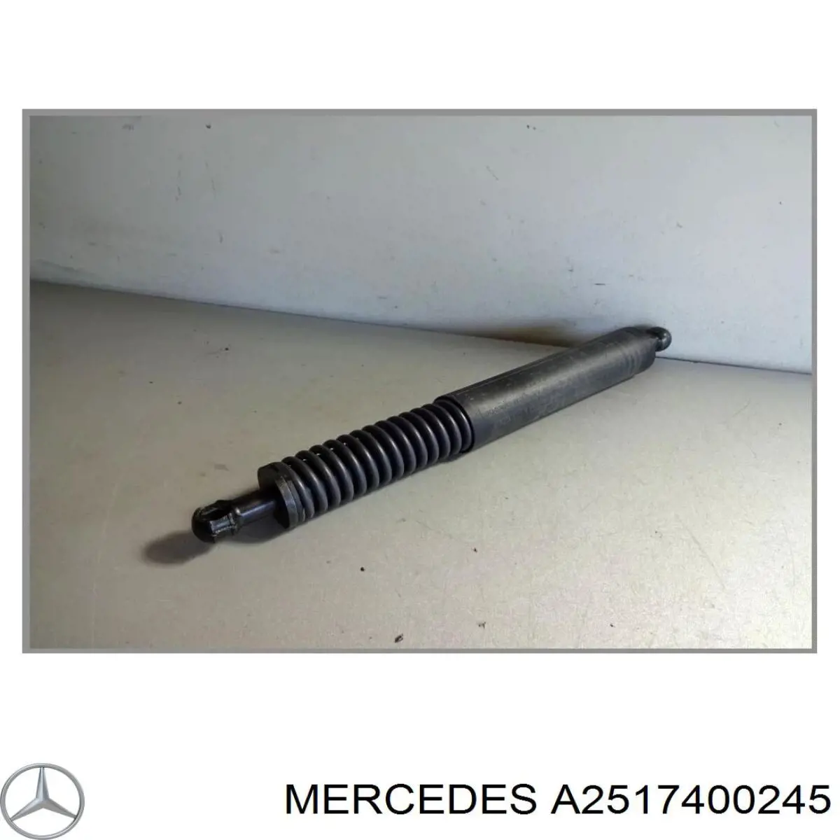Амортизатор кришки багажника/ двері 3/5-ї задньої на Mercedes R (W251)