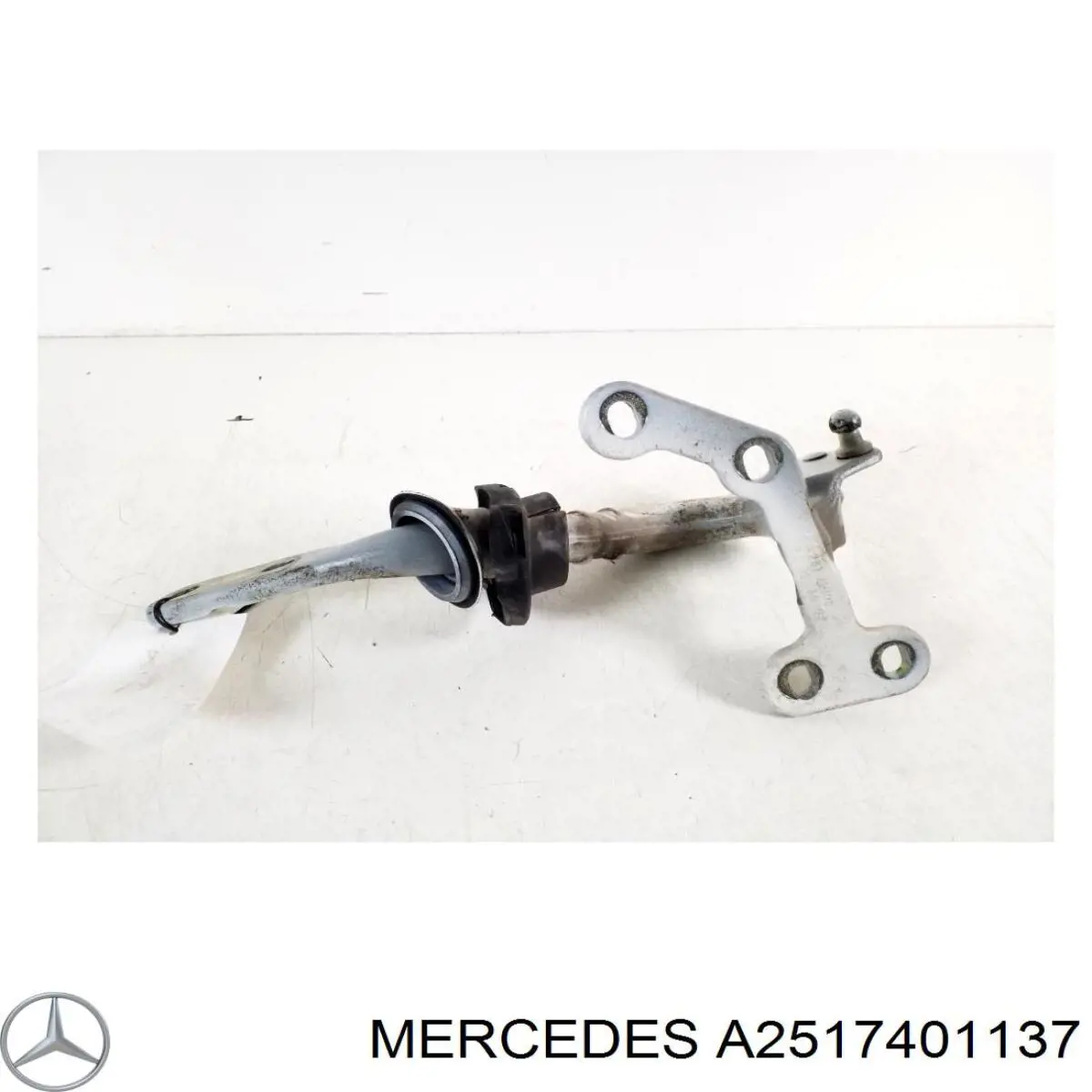 A2517400000 Mercedes Петля багажника