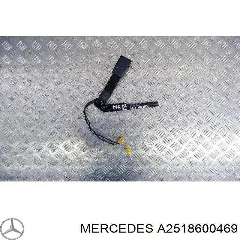  A25186004699051 Mercedes