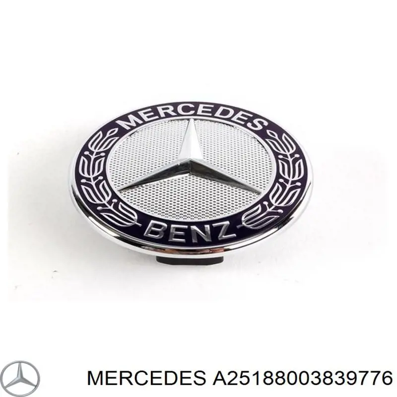 Купити A25188003839776 Mercedes Захисна решітка радіатора