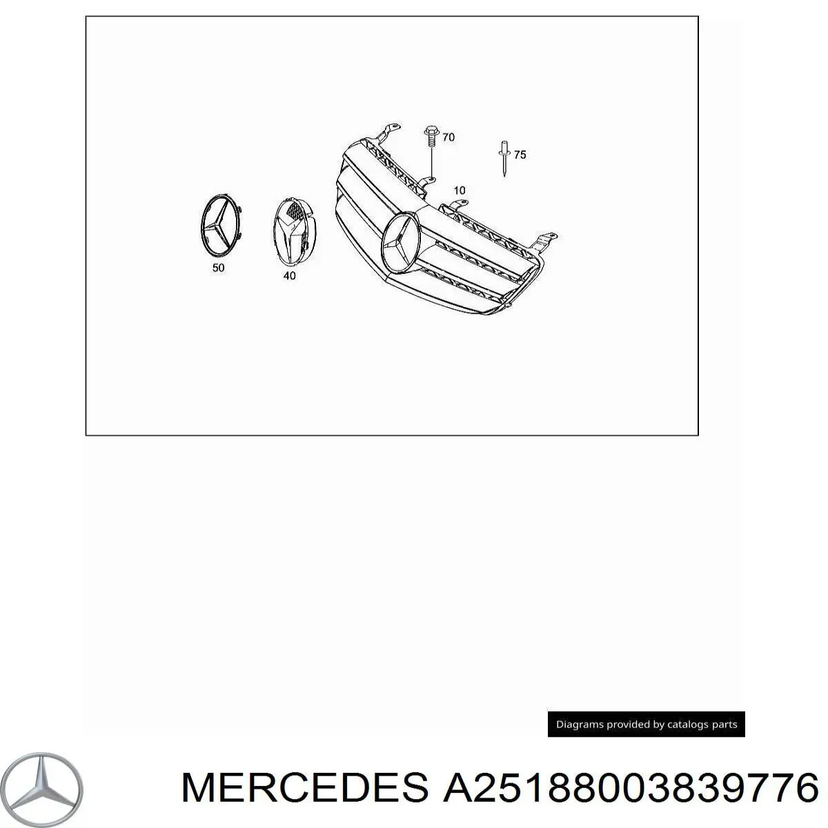 Облицювання радіатора Mercedes A25188003839776 ціна, від 190.04 USD