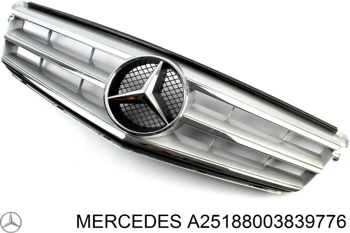 A25188003839776 Mercedes Решітка радіатора