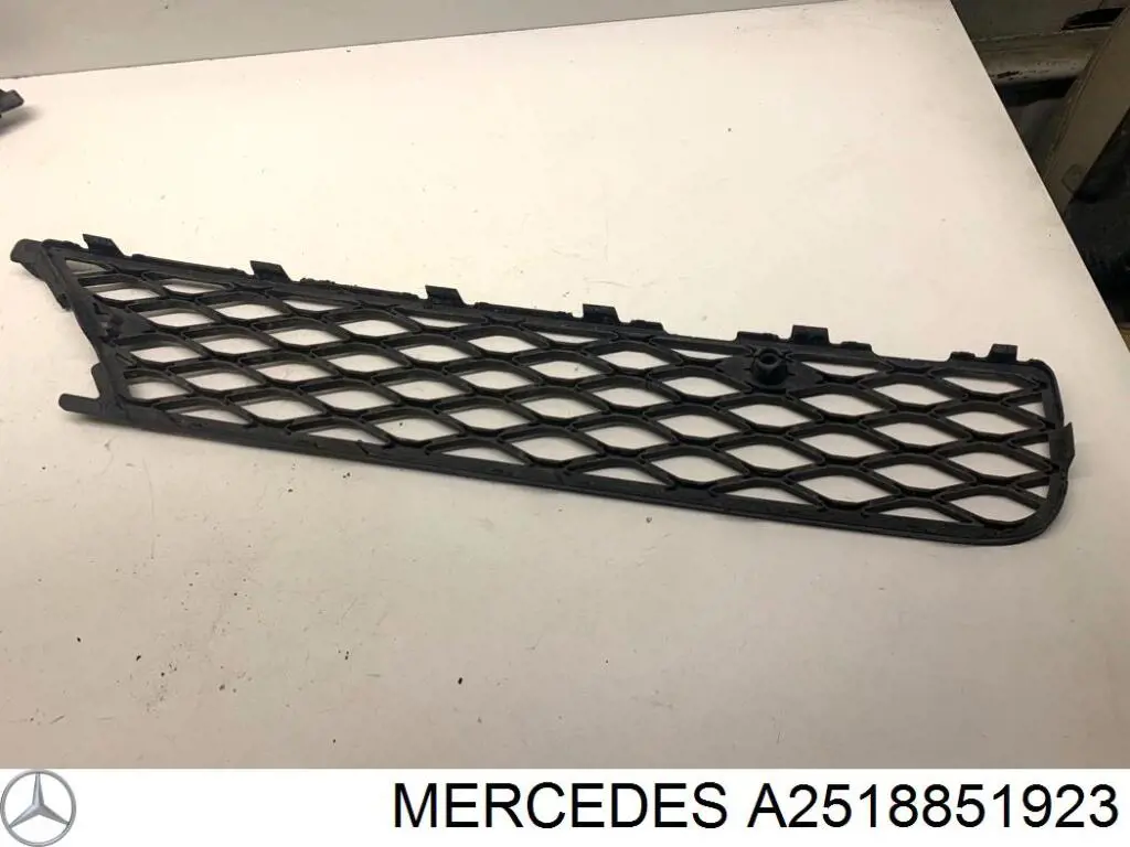 Купити A2518851923 Mercedes 