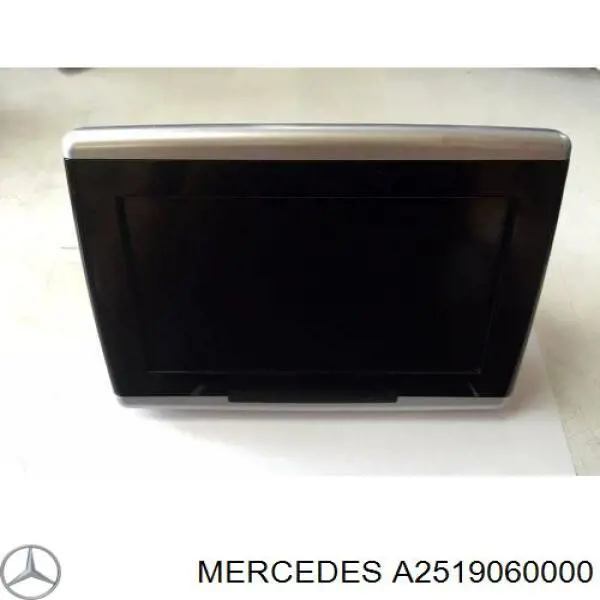 A2519060000 Mercedes 