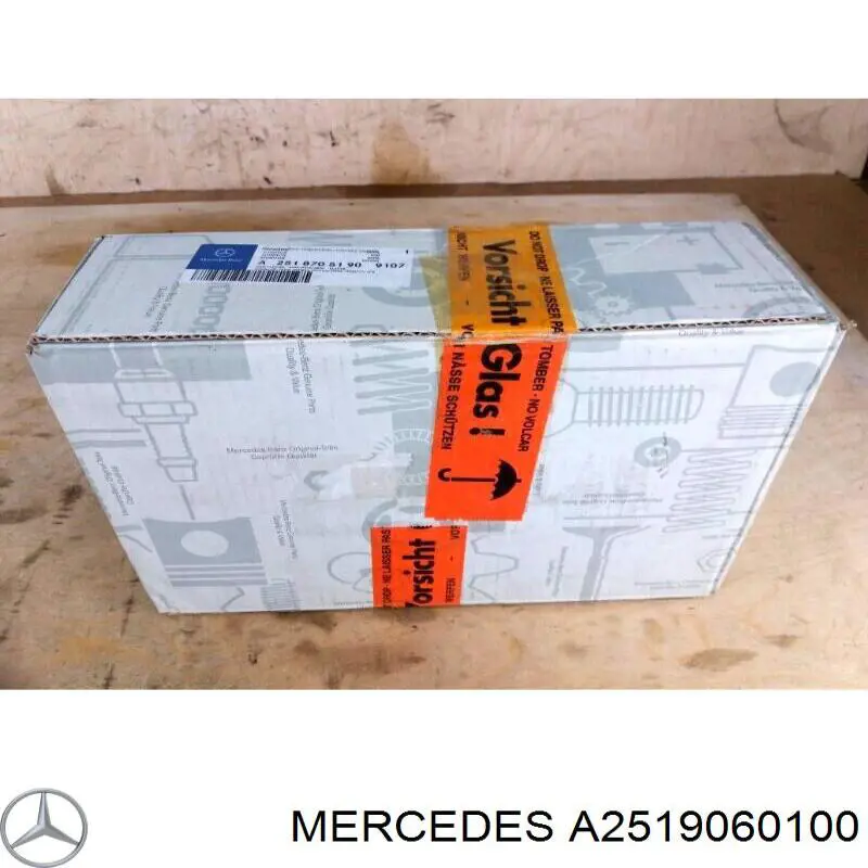 Купити A2519060100 Mercedes 