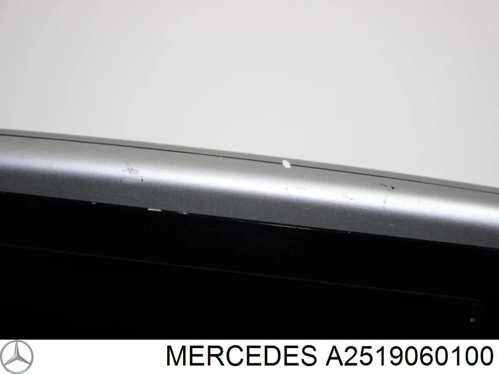  Mercedes A2519060000