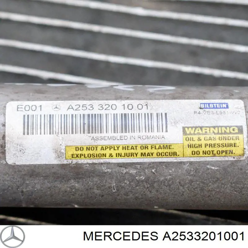 Задній амортизатор Mercedes A2533201001