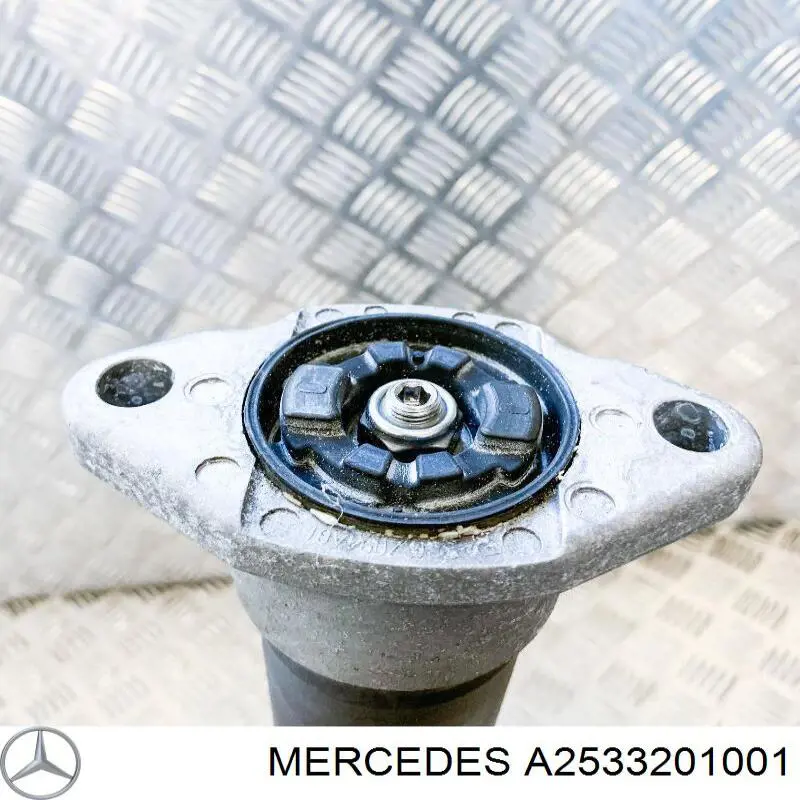 A2533201001 Mercedes Амортизатори задні