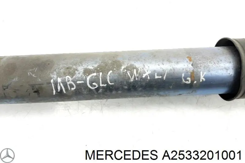 Купити A2533201001 Mercedes Стійка амортизатора задня