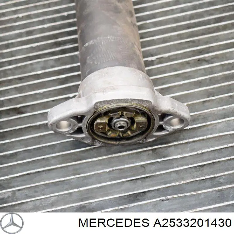 Купити A2533201430 Mercedes Стійка амортизатора задня