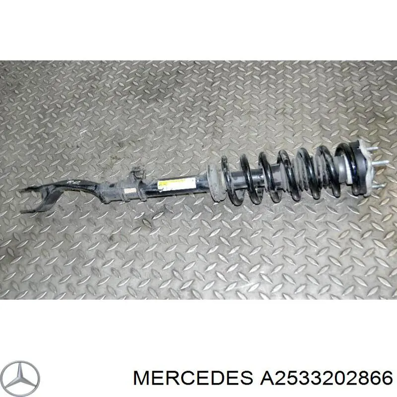 Купити A2533202866 Mercedes 
