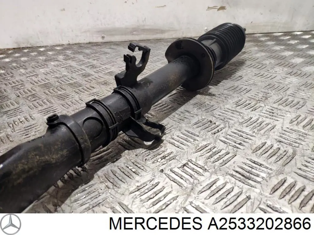 A2533202866 Mercedes 
