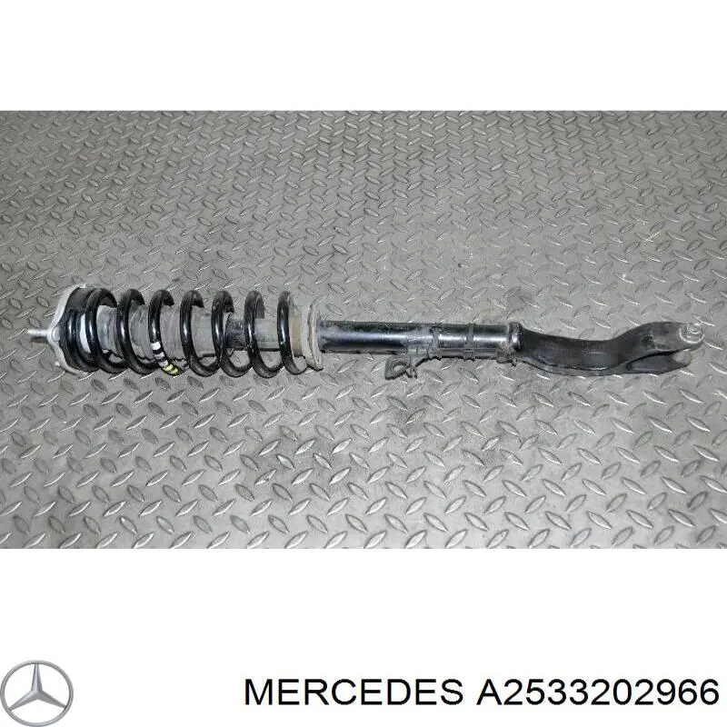  Mercedes A2533202966